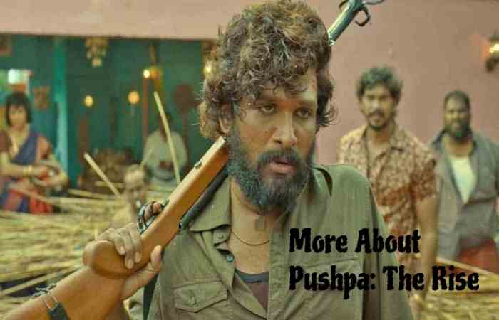 More About Pushpa: The Rise Movie (2021)