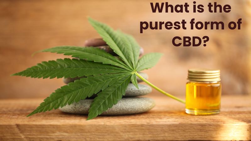 What is the purest form of CBD?