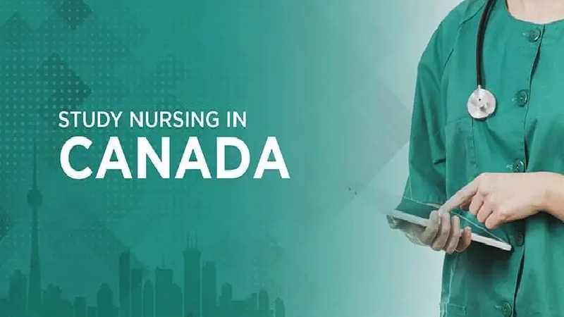 Why Study Nursing In Canada 2023/2024 Mytopschools 