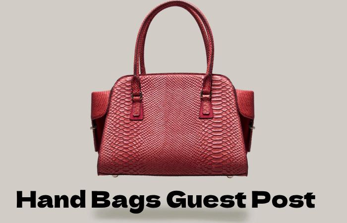 Hand Bags Guest Post